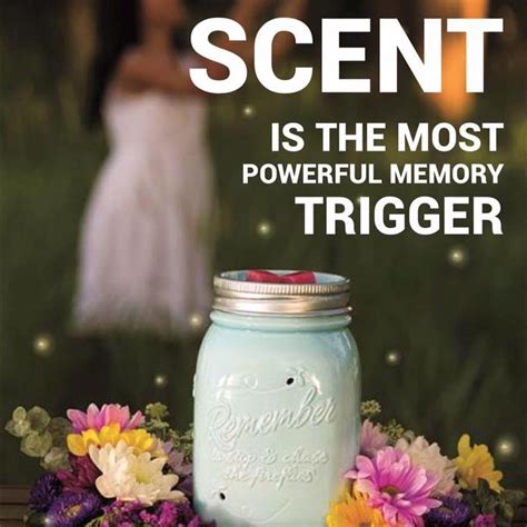 Scent memory - Scent holds a profound connection to memory, evoking emotions and transporting us back to specific moments in a manner unparalleled by any other sense. Memory is the function of the brain that encodes, stores, and retrieves information. Whether you know it or not, you owe everything you do in your life to memory—it enables you to …